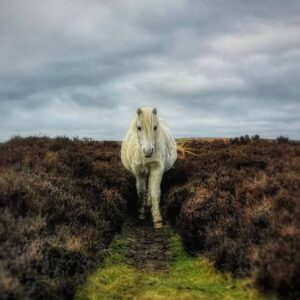 Walking Holidays Church Stretton