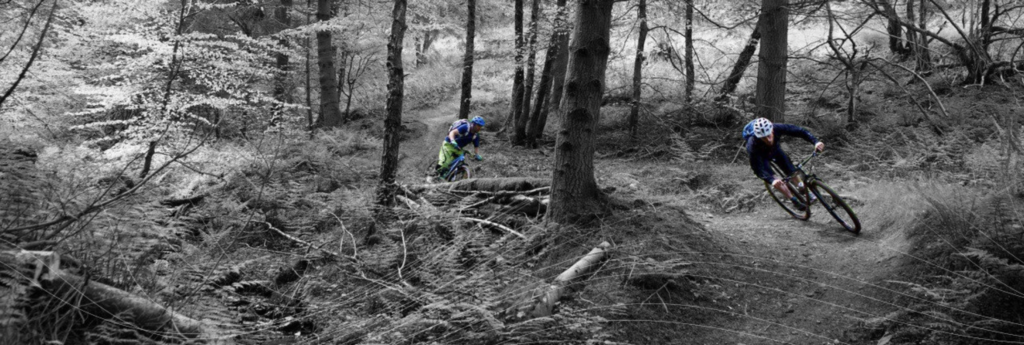 Find mtb hot sale trails