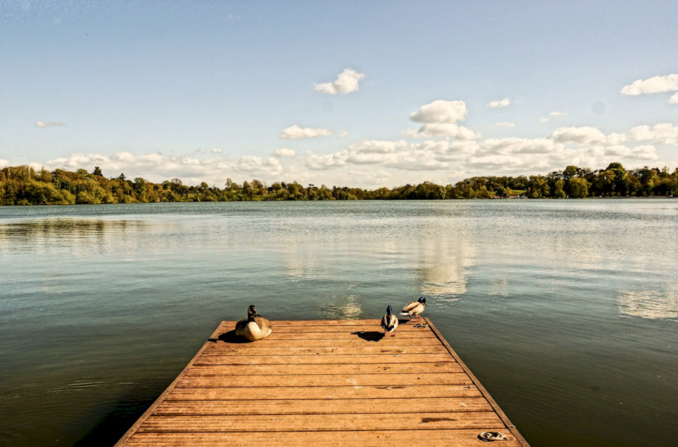 Winter walks - Ellesmere