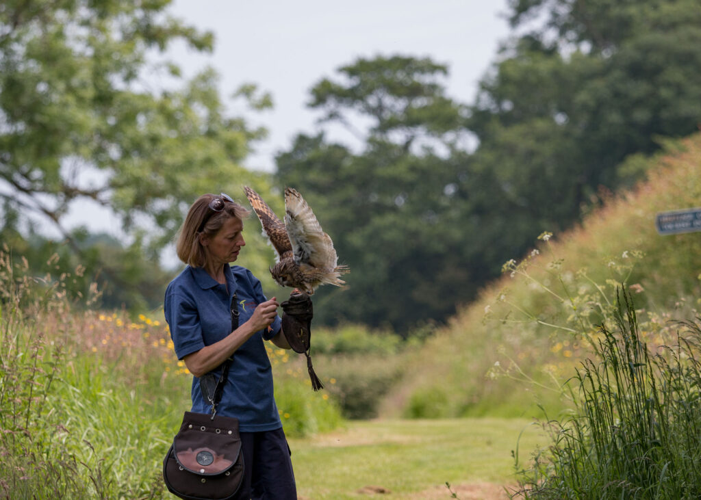 Shropshire Falconry