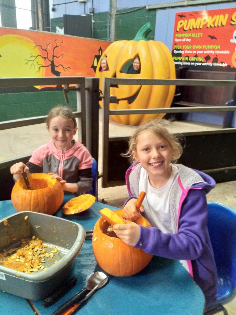 Pumpkins Galore Without the Gore