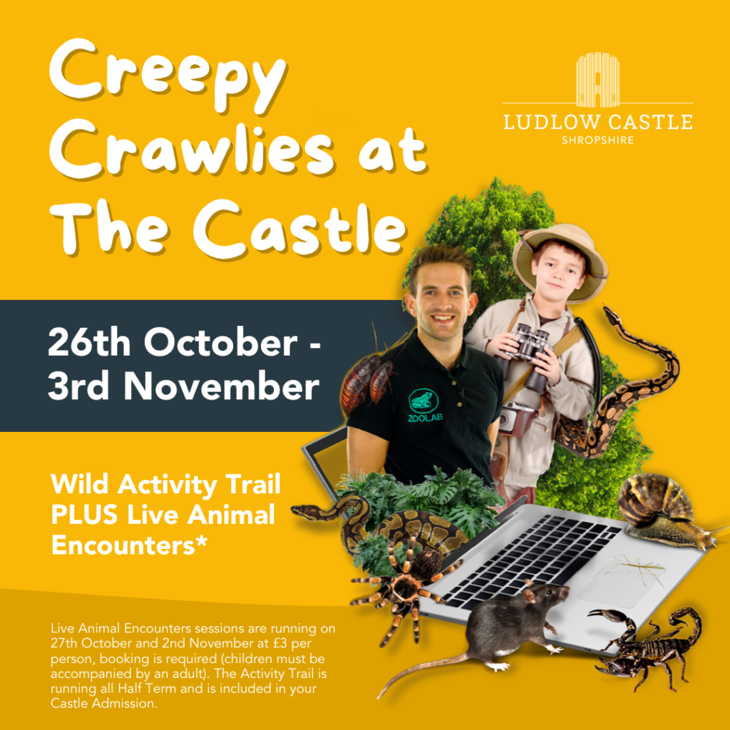 Creepy Crawlies at the Castle: Half-Term Fun for the Whole Family