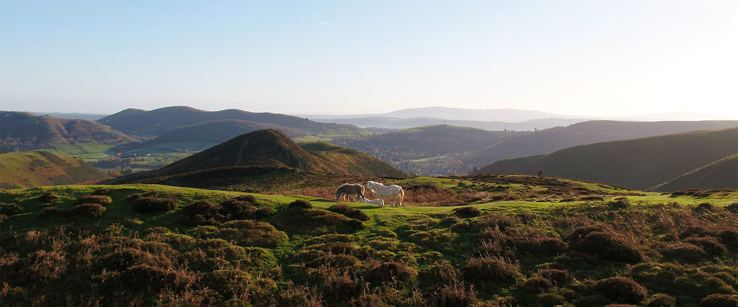 Long Mynd - Church Stretton