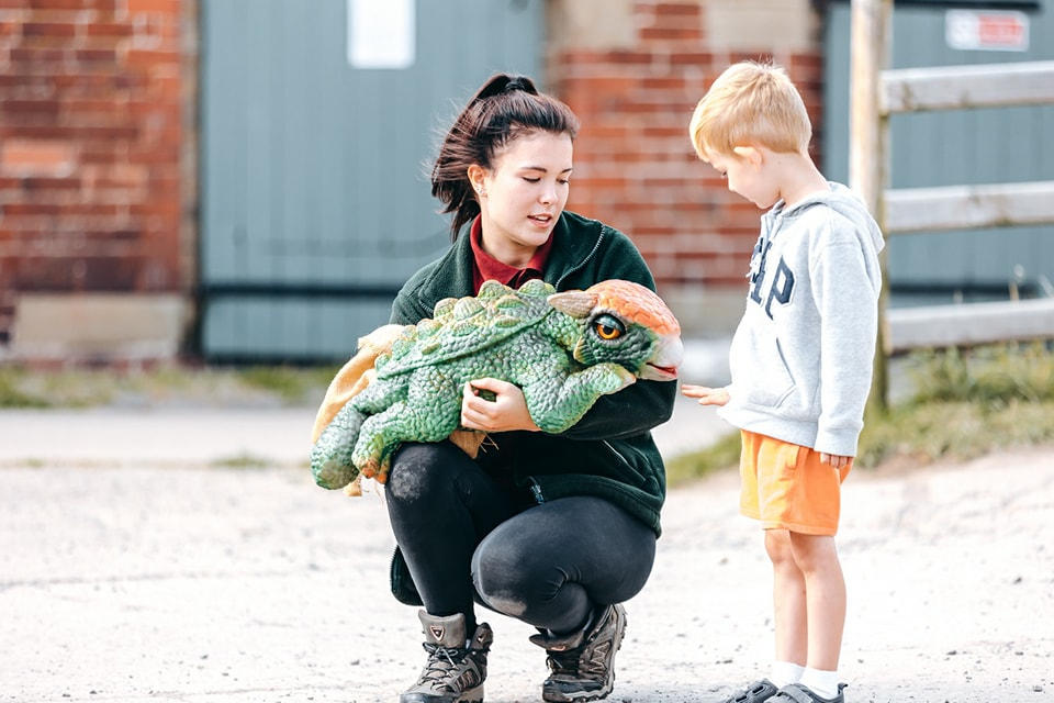 Don’t Miss Dino’s on the Farm